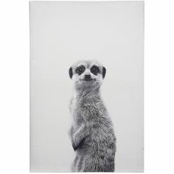 Buy 🥰 StyleCraft Home Collection StyleCraft Animal Portraits Black And White Meerkat Portrait Wall Art 🛒