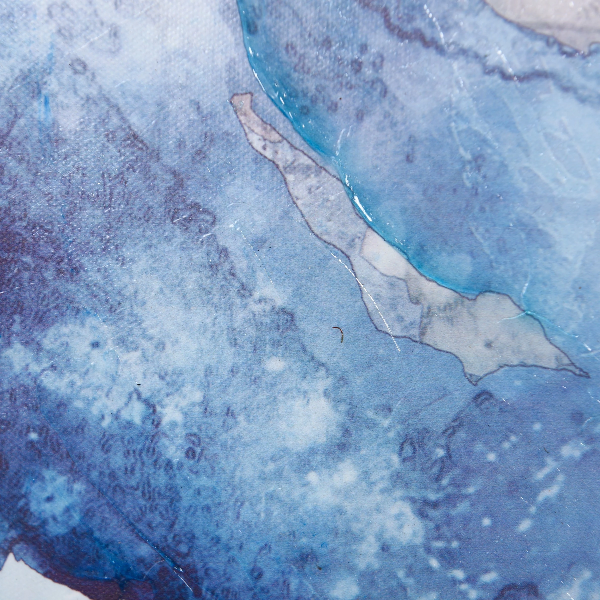 Outlet 🎁 StyleCraft Home Collection StyleCraft Coral Multi Colored Canvas II Wall Art 🎁 - Image 6